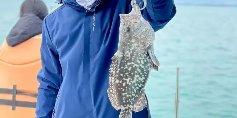 三亞海釣4-6小時 市區碼頭交通便利 提供魚餌漁具礦泉水教學