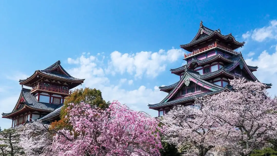 京都二條城+伏見桃山城（外觀）+北野天滿宮【定制包車一日遊】