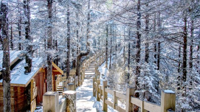 成都発 西嶺雪山日帰りツアー：チケット＋専用車送迎