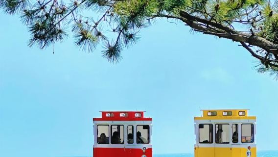 ทัวร์ 1 วัน รถแคปซูลท้องฟ้าปูซาน + มรดกโลกคยองจู [เที่ยวล้วนๆ พร้อมไกด์นำเที่ยว]