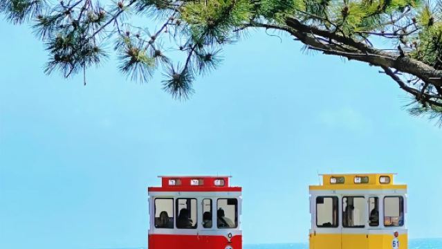 韓国釜山の海雲台ブルーラインパーク + 慶州世界遺産ワンデーツアー【純粋な観光・ガイド付き】