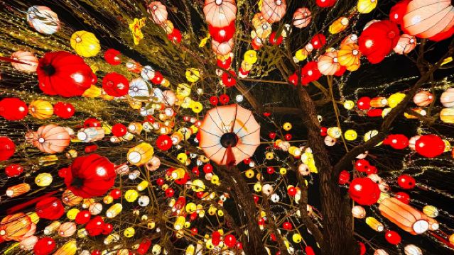 Lawatan sehari 9 jam sewaan peribadi Yangjiang|Lawati Istana Kristal Pulau Hailing + Taman Negara Tanah Lembap Hutan Bakau