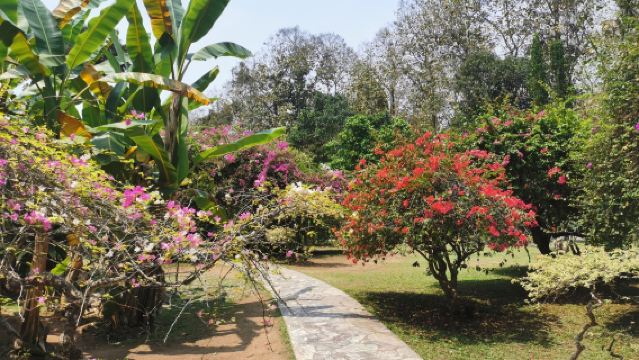 Tour Giornaliero di Gruppo al Giardino Botanico di Xishuangbanna + Giardino Dai: Flora Tropicale Incontra il Folclore Dai