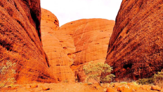 澳洲烏魯魯卡塔丘塔+風之谷一日遊【中文/度假村接送/徒步】