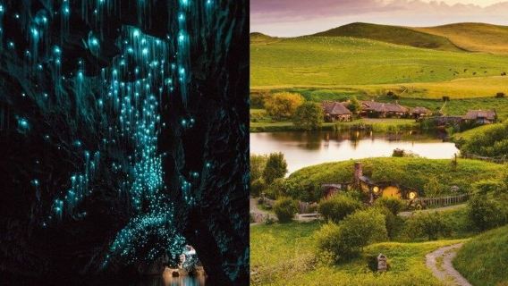 Hobbiton & Waitomo Caves Day Tour with Lunch from Auckland