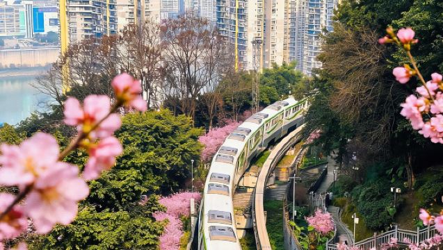 Chongqing: Travel Customization/Citywalk/Attractions & Tours/Cultural & Historical Guide "Translation • Guide • Local Guide" Business Reception/Corporate Visits/Large Activity & Conference Private Charter