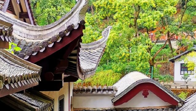 Changsha: Yuelu Academy + Hunan Museum + Orange Island | Multilingual guides including Chinese/English | Customized private charter