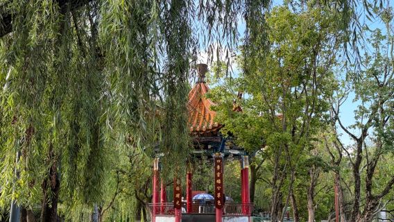Yunnan Kunming|rehber|yerel rehber|çeviri eşliği|iş fuarı çevirisi|araç kiralama|özelleştirilebilir