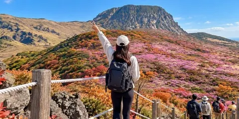 濟州南部聯合國教科文組織特色日遊(含漢拏山)