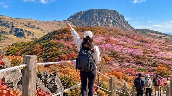 Jeju-Insel: Südliche UNESCO-Highlights Tagesausflug mit Mt. Halla