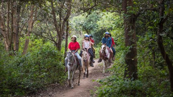 Ridetur til Oropendola-vandfaldet