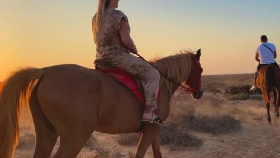 Horse Riding on Sidi Jemour Beach – Coastal Adventure