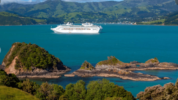Christchurch: Akaroa Day Tour with Nature Cruise