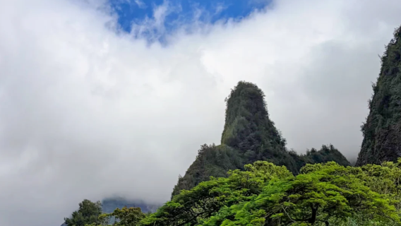 美國夏威夷茂宜島-伊奧山谷-拉海納-中文包車-無憂