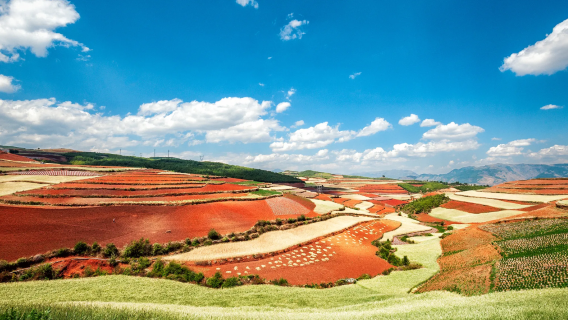 Afgang fra Kunming: Dongchuan Røde Jord (Luosiwan + Luoxiagou) med privat bil på én dag