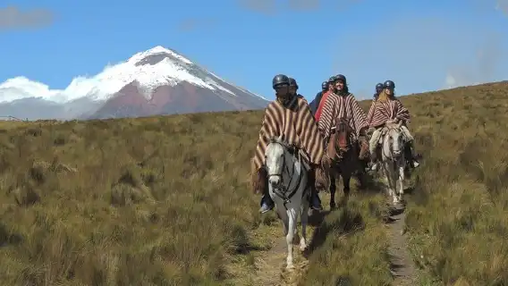 Horseback Riding and Cotopaxi National Park Day Trip