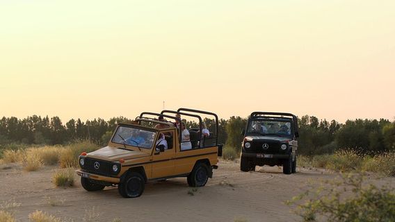 MarghamTours