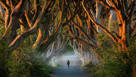 BelfastTours