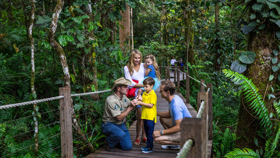 Kuranda