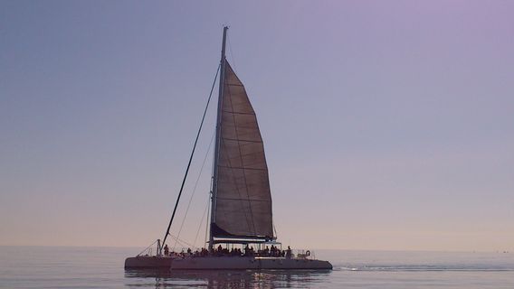 CalpeTours