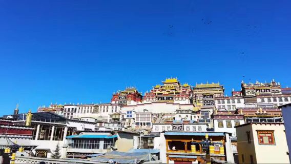 Shangri-La Private Charter Day Tour [Customizable Routes Around Shangri-La|Self-guided tour|Private Car Service