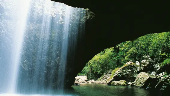 Passeio pela Ponte Natural e cachoeiras de Springbrook saindo da Gold Coast