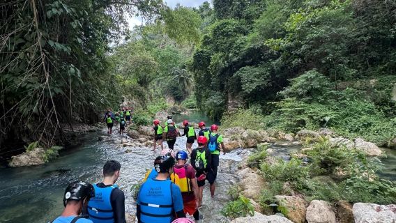 Cebu: Kawasan Falls Canyoneering | Lunch, Guide & Equipment Provided