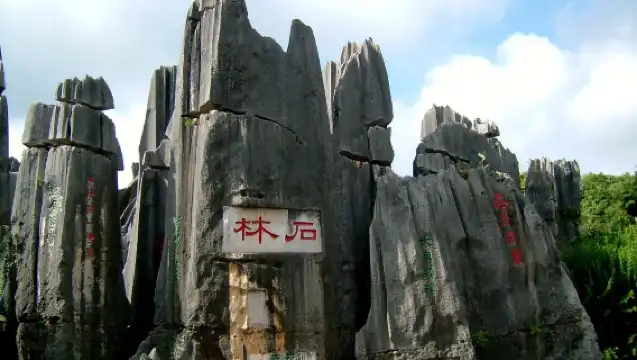 [Pure Fun] Yunnan Kunming Stone Forest Scenic Area + Jiuxiang one-day tour|Optional standalone package