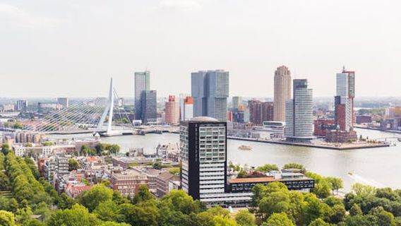 Hague
