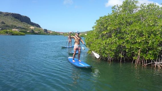 CuracaoExperiences