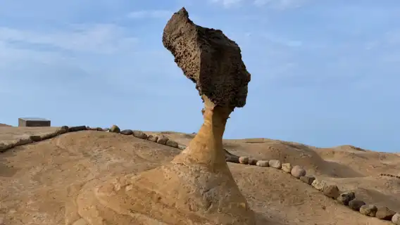 野柳＋十分＋猴硐＋九份【台北出發｜外語導遊隨行｜一日遊】