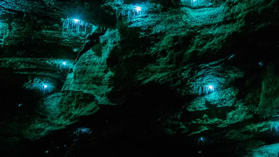 Viaggio in Australia [Tour notturno delle lucciole blu a Springbrook nella Gold Coast] Osservazione delle stelle a Tamborine e Brisbane