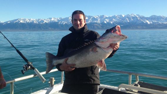 Nouvelle-Zélande Île du Sud - Croisière de pêche à Kaikoura avec capitaine expérimenté (Steve/Tomo/RodFather) - Pêche et capture de homards