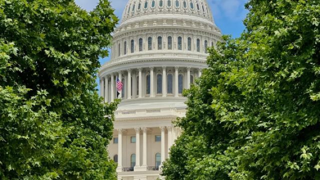 美國紐約來回華盛頓經典線路景點任選*包車12h【精選老司機】