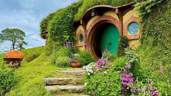 Excursion d'une journée à Hobbitebourg et aux grottes aux vers luisants de Waitomo (visite de groupe/ Voiture avec chauffeur en option )