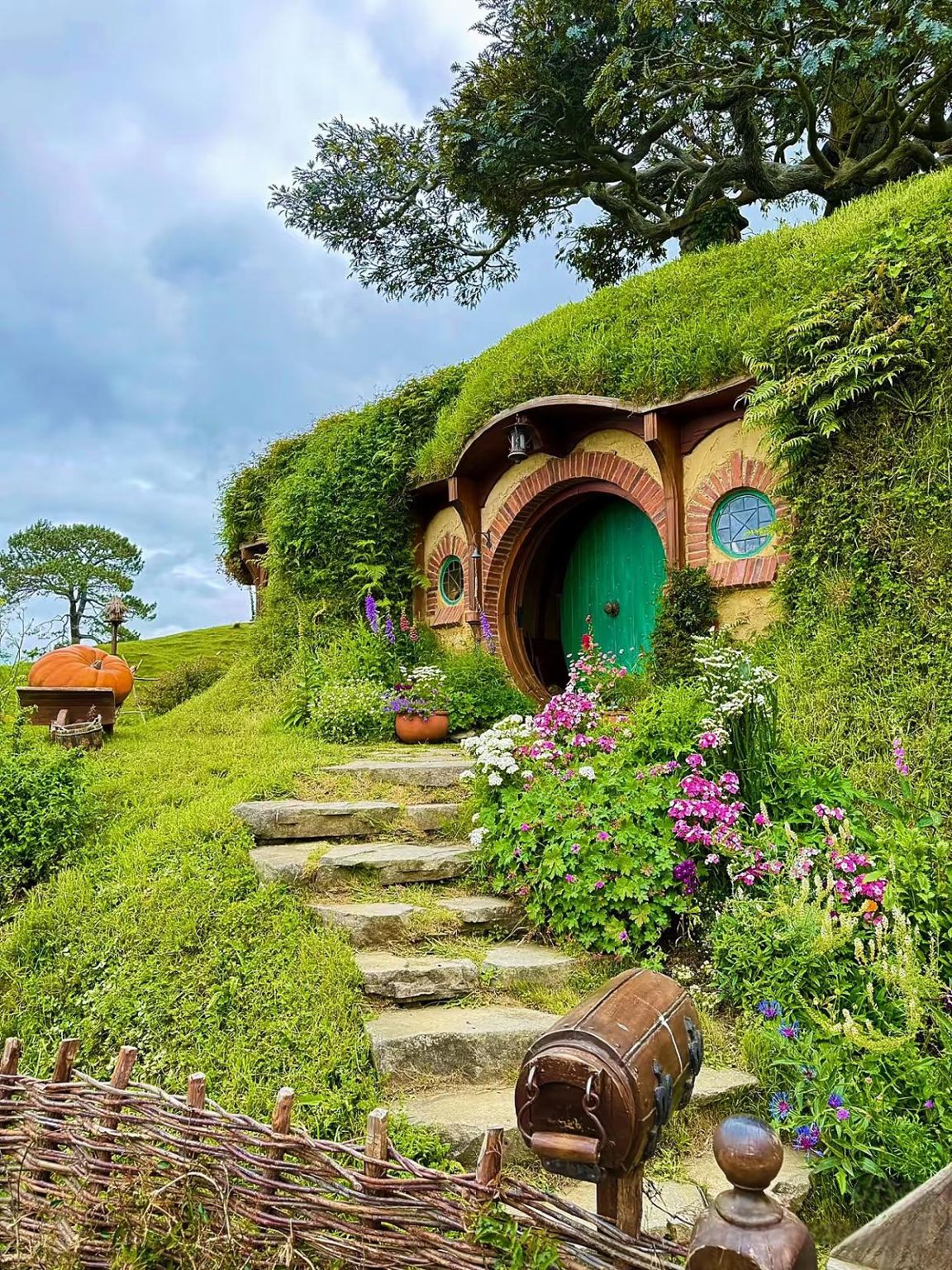 오클랜드 호비튼 영화 세트 관광과 와이토모 반딧불이 동굴 당일 치기 여행(공유/전세 차량 선택 가능, 중영 해설)