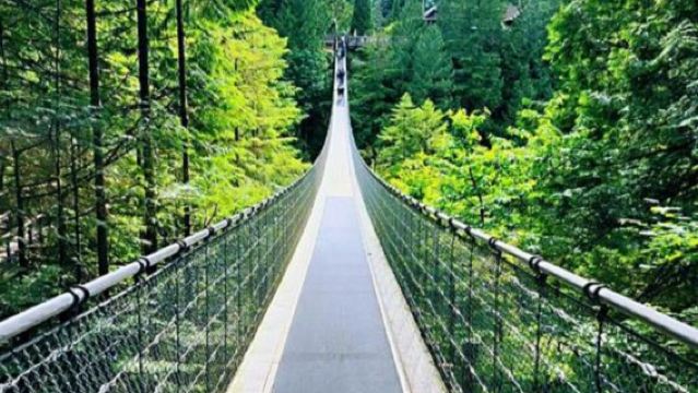 加拿大溫哥華 獅門大橋+固蘭湖島一日遊/行程可調-悅享旅途