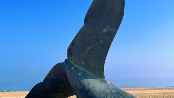 Depart from Qingdao - Yantai Penglai Pavilion + Eight Immortals Crossing the Sea + Mou's Manor 1-day tour(English available)