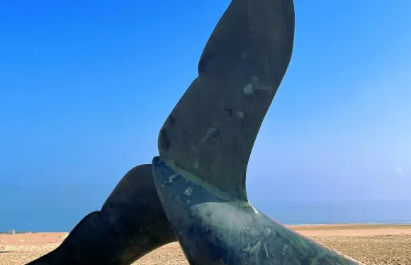 青島出發-煙台蓬萊閣+八仙過海+牟氏莊園一日遊可中英文服務