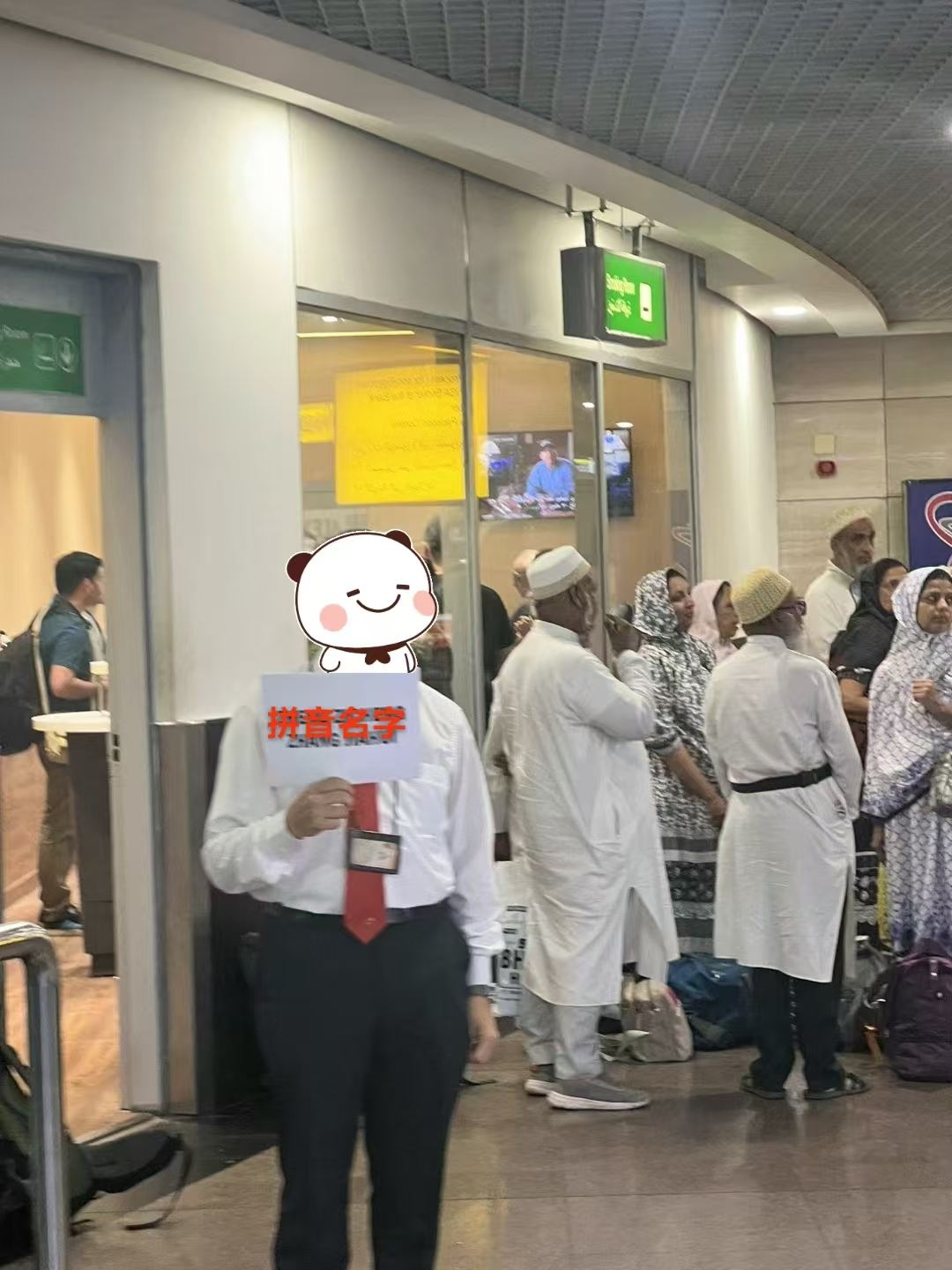 VIP customs at Cairo Airport, charter car and tour guide services throughout Egypt