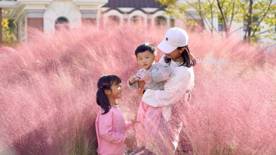 lawatan sehari Taman Burung Pulau Nami dan Gapyeong Begonia (Bertolak dari Seoul, pemandu pelancong Cina dan Inggeris )