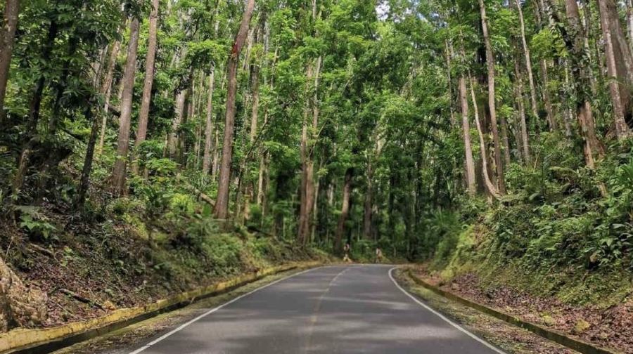 薄荷島鄉村一日遊套餐（Bohol and Beyond 提供）
