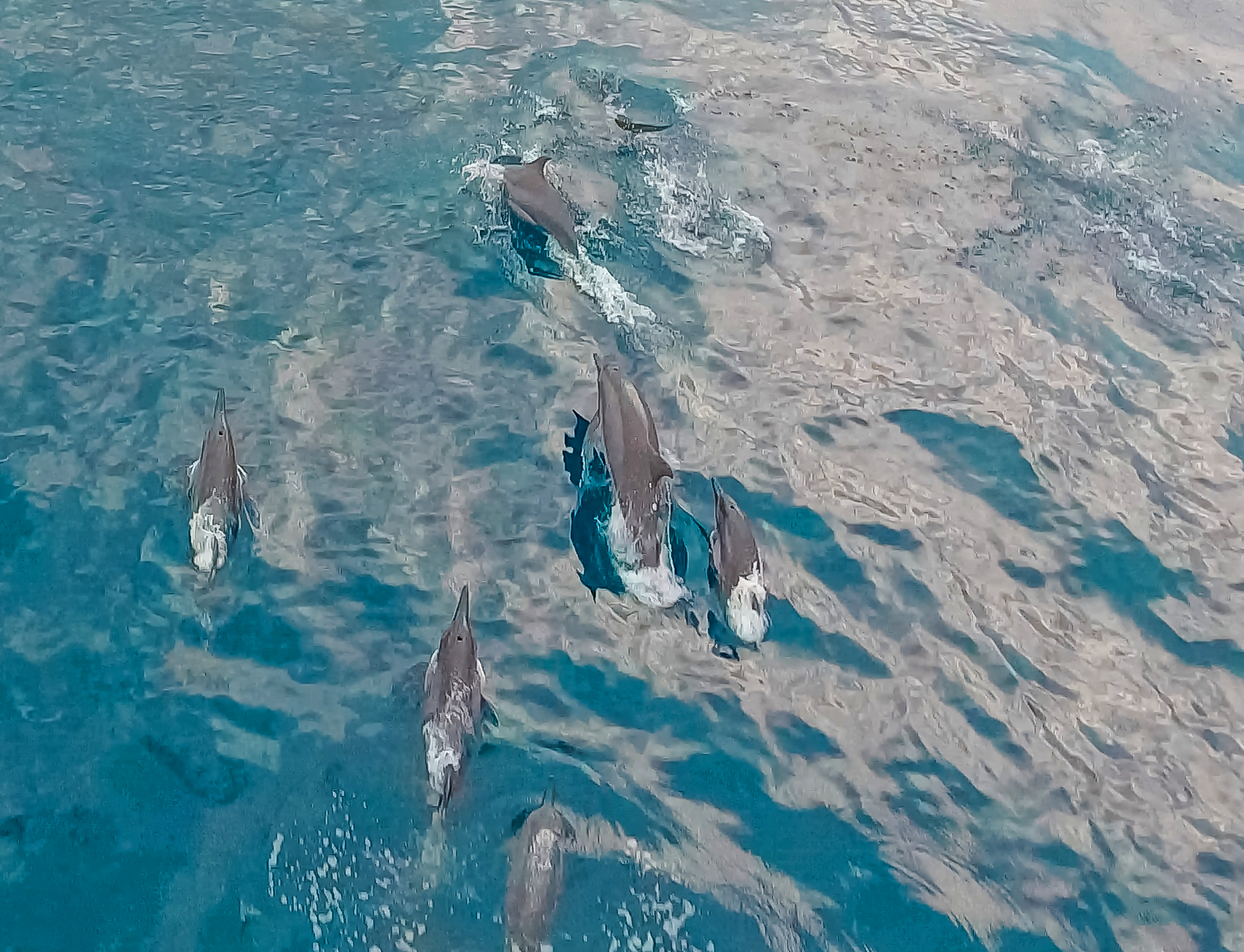 Bohol Panglao Island Hopping Tour