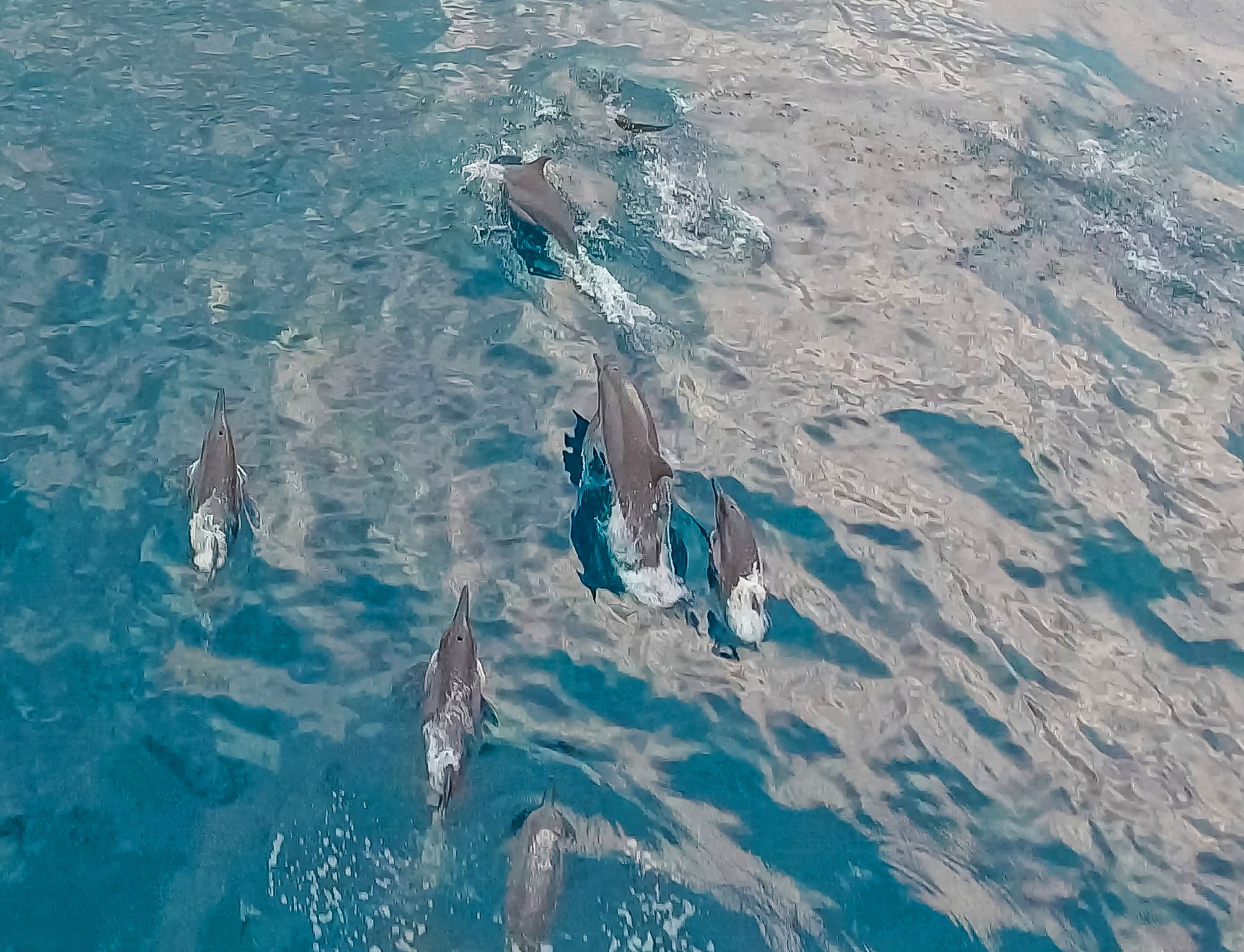 Bohol Panglao Island Hopping Tour