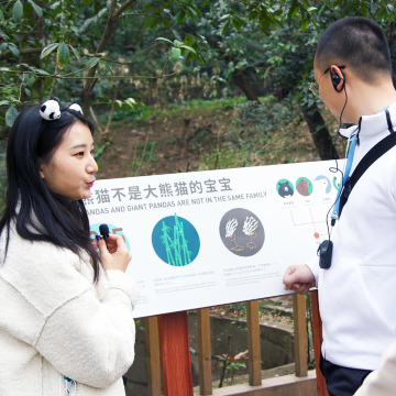 成都熊貓基地+自然博物館一日遊【解析熊貓行為+恐龍化石課】