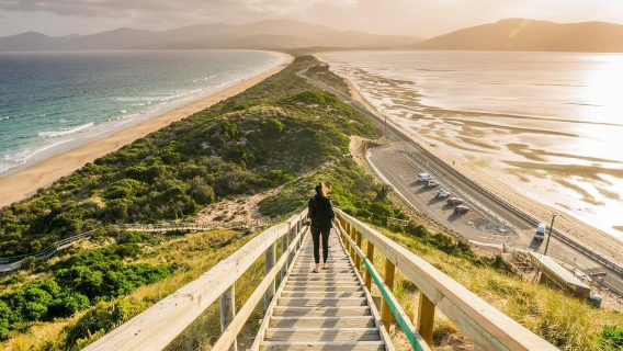 塔州一手地接|澳洲塔斯馬尼亞布魯尼島一日遊|上門接天天發