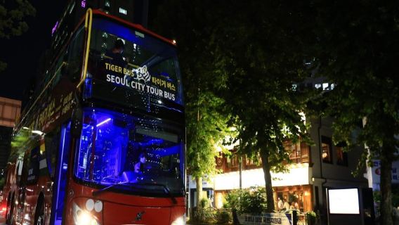 SeoulServizi di viaggio