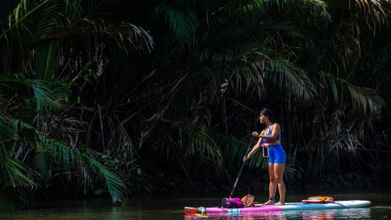 Samut Songkhram Pass - save up to 50% - Includes SUP Space Maeklong