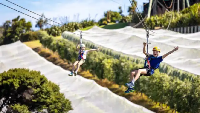 เกาะไวเฮเกะ: ทริปผจญภัยซิปไลน์และป่าพื้นเมือง