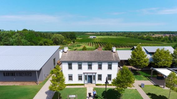 Niagara, Canada: Half-Day Winery Tour with Tastings